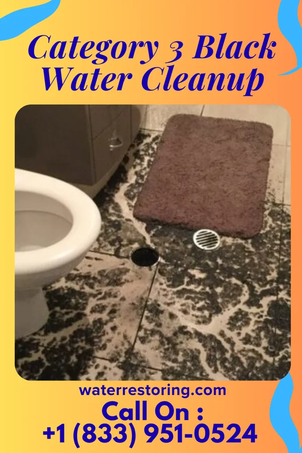 Category 3 Black Water Cleanup in Plymouth, MN